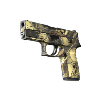 Souvenir P250 | Contamination (Well-Worn) CS2 skin