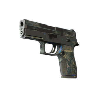 P250 | Exchanger (Battle-Scarred) CS2 skin
