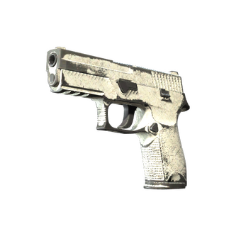 P250 | Whiteout (Battle-Scarred) CS2 skin