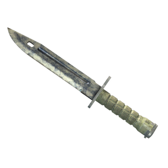 ★ Bayonet | Stained (Battle-Scarred) CS2 skin