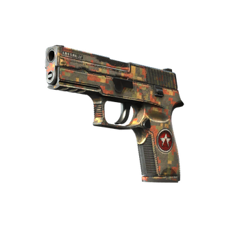 P250 | Red Rock (Battle-Scarred) CS2 skin