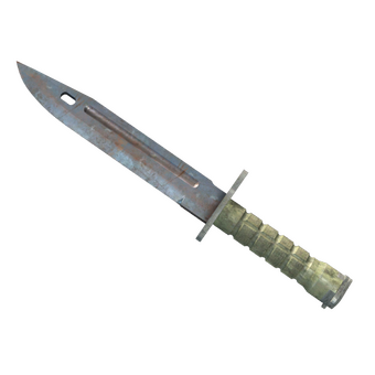 ★ Bayonet | Rust Coat (Well-Worn) CS2 skin