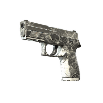 P250 | Sleet (Battle-Scarred) CS2 skin