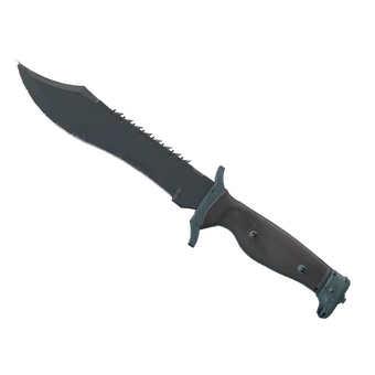 ★ StatTrak™ Bowie Knife | Night (Field-Tested) CS2 skin