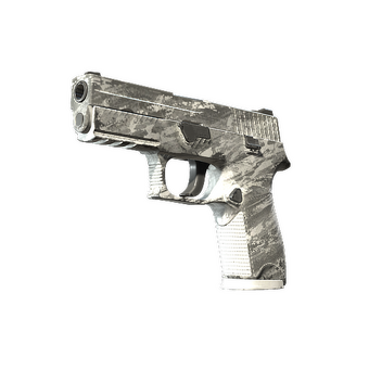 P250 | Sleet (Field-Tested) CS2 skin
