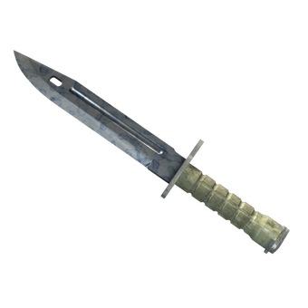 ★ StatTrak™ Bayonet | Stained (Minimal Wear) CS2 skin