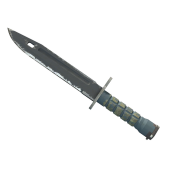 ★ StatTrak™ Bayonet | Night (Well-Worn) CS2 skin