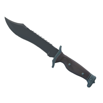 ★ StatTrak™ Bowie Knife | Night (Minimal Wear) CS2 skin