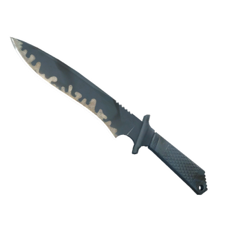 ★ StatTrak™ Classic Knife | Night Stripe (Well-Worn) CS2 skin
