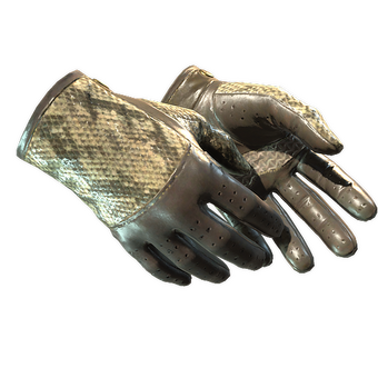 ★ Driver Gloves | Diamondback (Factory New) CS2 skin