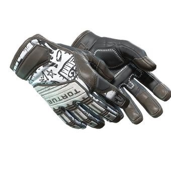★ Specialist Gloves | Blackbook (Field-Tested) CS2 skin