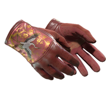 ★ Driver Gloves | Brocade Crane (Field-Tested) CS2 skin