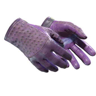 ★ Driver Gloves | Plum Quill (Field-Tested) CS2 skin