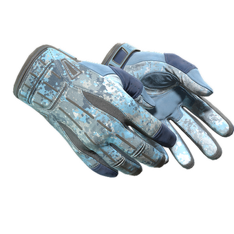 ★ Sport Gloves | Frosty (Minimal Wear) CS2 skin
