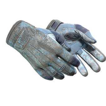 ★ Sport Gloves | Frosty (Battle-Scarred) CS2 skin