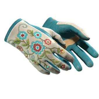 ★ Driver Gloves | Garden (Field-Tested) CS2 skin