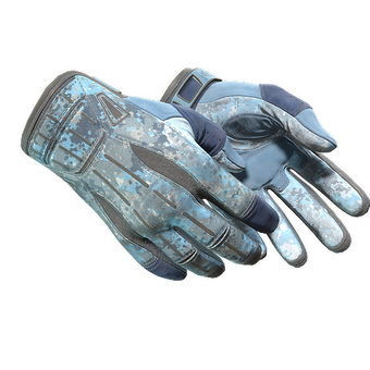★ Sport Gloves | Frosty (Well-Worn) CS2 skin