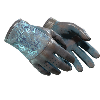★ Driver Gloves | Seigaiha (Battle-Scarred) CS2 skin