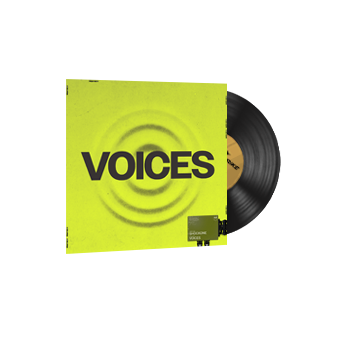 StatTrak™ Music Kit | ShockOne, Voices CS2 skin