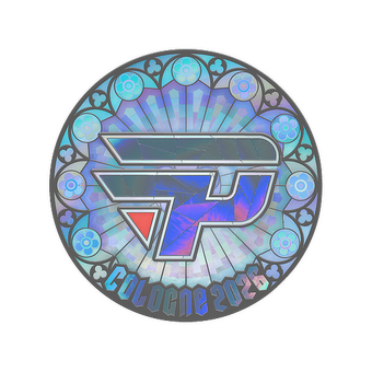 Sticker | paiN Gaming (Holo) | Cologne 2026 CS2 skin