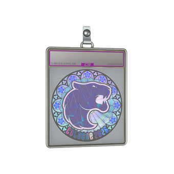 Sticker Slab | FURIA (Holo) | Cologne 2026 CS2 skin