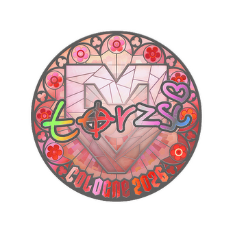 Sticker | torzsi (Holo) | Cologne 2026 CS2 skin