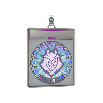 Sticker Slab | G2 esports (Holo) | Cologne 2026 CS2 skin