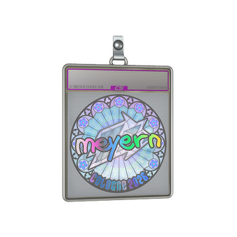Sticker Slab | meyern (Holo) | Cologne 2026 CS2 skin