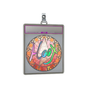 Sticker Slab | HooXi (Holo) | Cologne 2026 CS2 skin