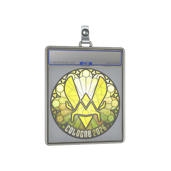 Sticker Slab | Vitality | Cologne 2026 CS2 skin