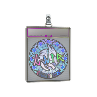 Sticker Slab | tN1R (Holo) | Cologne 2026 CS2 skin