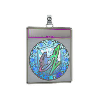 Sticker Slab | siuhy (Holo) | Cologne 2026 CS2 skin