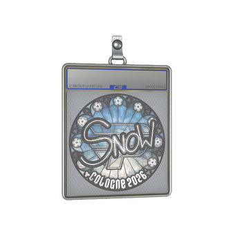 Sticker Slab | snow | Cologne 2026 CS2 skin