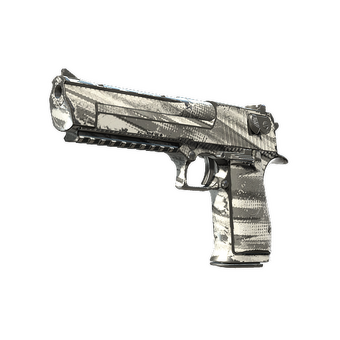 Souvenir Desert Eagle | The Daily Deagle (Field-Tested) CS2 skin