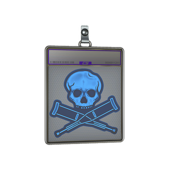 Sticker Slab | Radiograph (Holo) CS2 skin