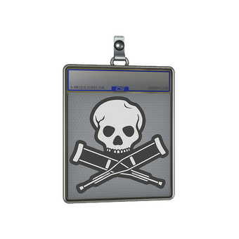 Sticker Slab | Radiograph CS2 skin