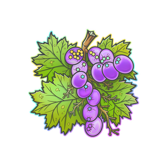 Sticker | From The Vine (Holo) CS2 skin