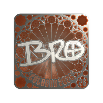 Sticker | br0 (Foil, Ranked) | Cologne 2026 CS2 skin