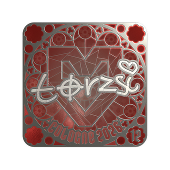 Sticker | torzsi (Foil, Ranked) | Cologne 2026 CS2 skin