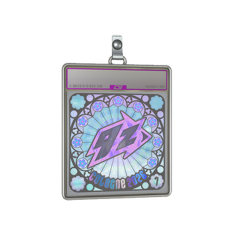 Sticker Slab | 9z Team (Holo, Ranked) | Cologne 2026 CS2 skin