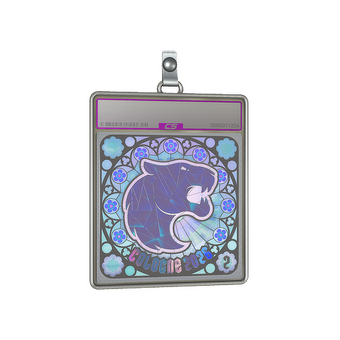 Sticker Slab | FURIA (Holo, Ranked) | Cologne 2026 CS2 skin