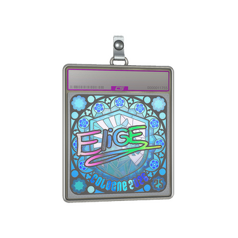 Sticker Slab | EliGE (Holo, Ranked) | Cologne 2026 CS2 skin