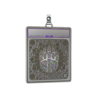 Sticker Slab | BIG (Foil, Ranked) | Cologne 2026 CS2 skin