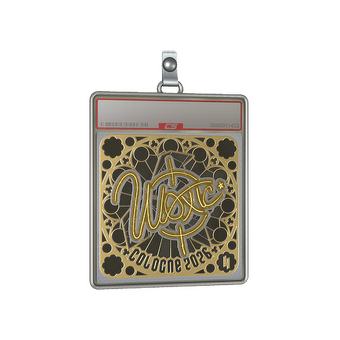 Sticker Slab | woxic (Gold, Ranked) | Cologne 2026 CS2 skin