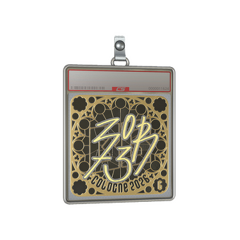 Sticker Slab | zorte (Gold, Ranked) | Cologne 2026 CS2 skin