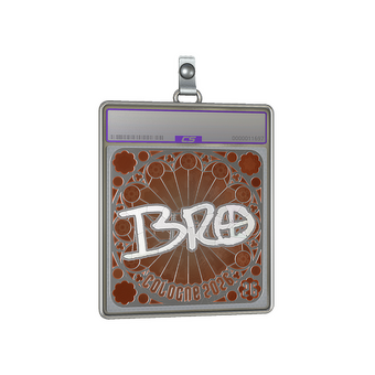 Sticker Slab | br0 (Foil, Ranked) | Cologne 2026 CS2 skin