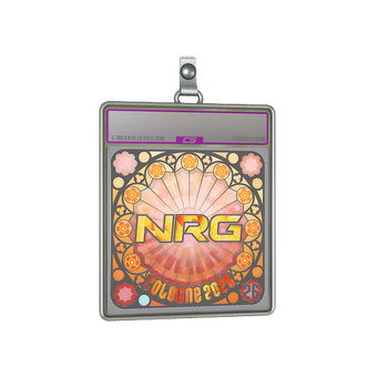 Sticker Slab | NRG (Holo, Ranked) | Cologne 2026 CS2 skin