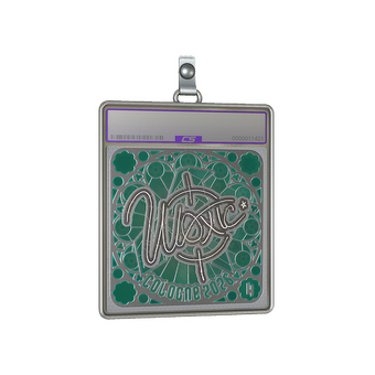 Sticker Slab | woxic (Foil, Ranked) | Cologne 2026 CS2 skin