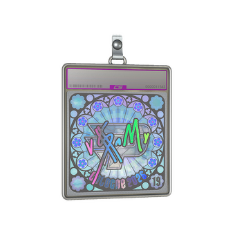 Sticker Slab | v$m (Holo, Ranked) | Cologne 2026 CS2 skin