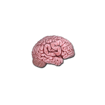 Sticker | CS On The Mind CS2 skin